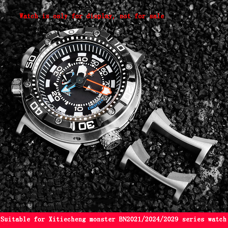 Bant aksesuarları vatandaş can - Citizen Watch Promaster incelemesi ve fiyatı