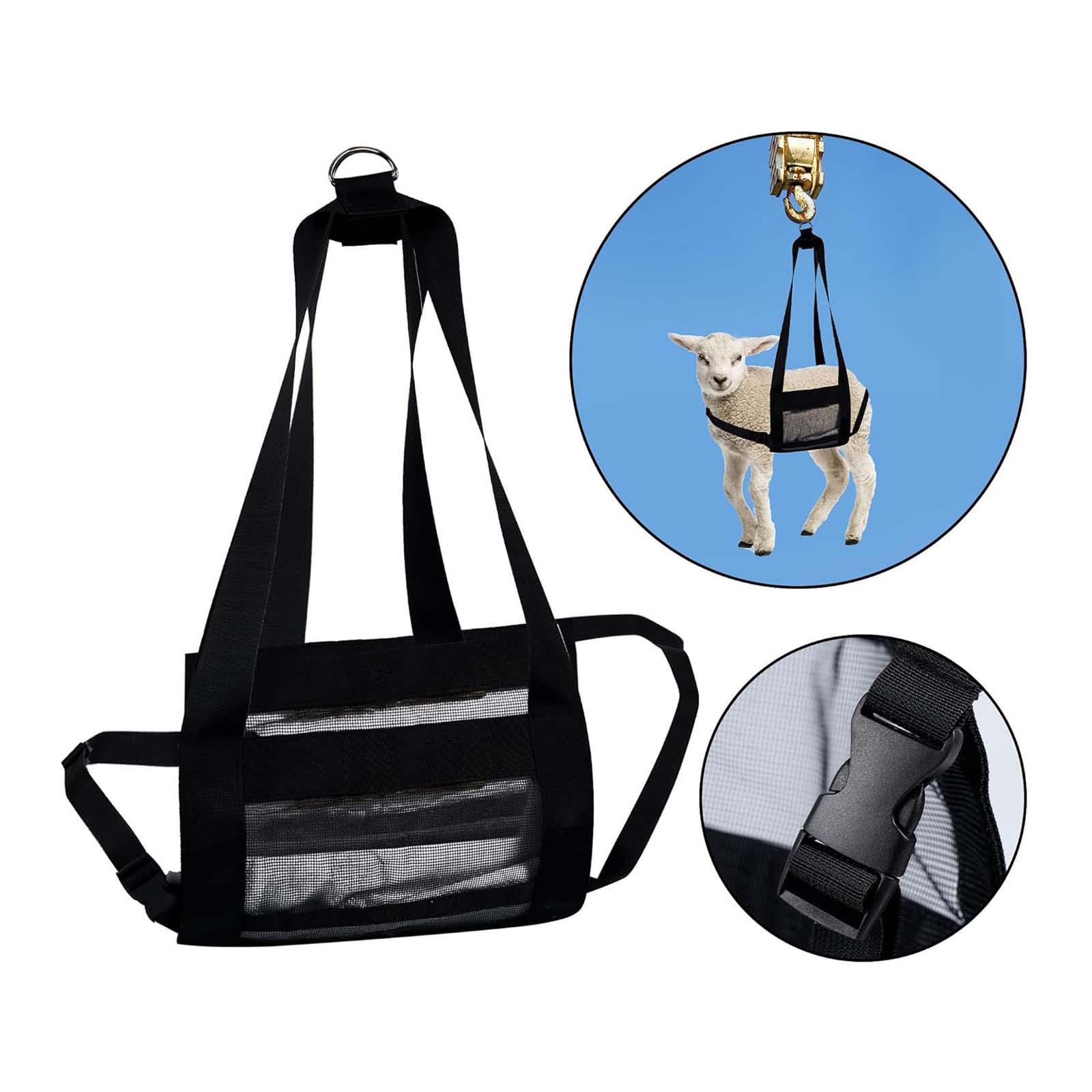 D şekilli metal halkalı, ayarl - Mesh Strap Metal incelemesi ve fiyatı